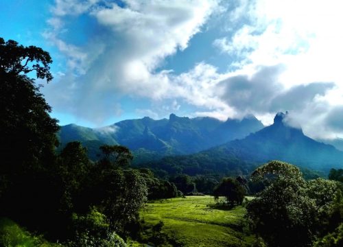 Bale mountain national Park - 6 Days