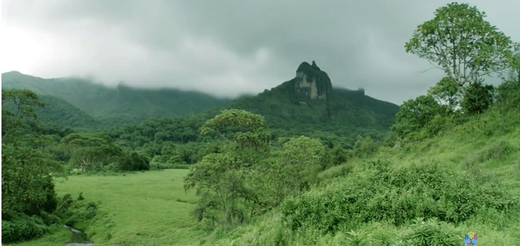 Bale Mountains
